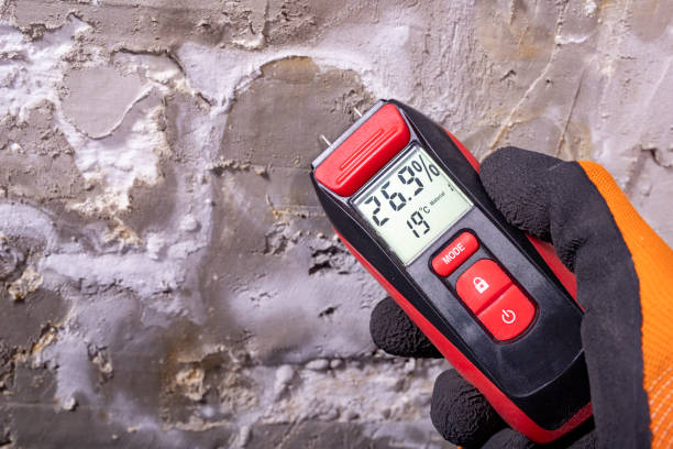 Best Mold Testing  in Mountainhome, PA